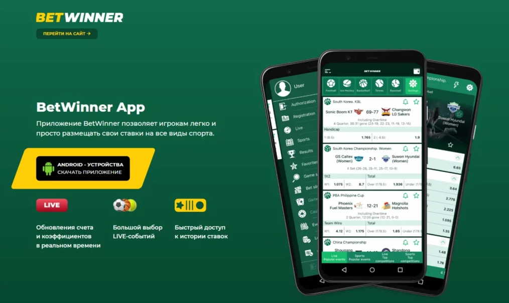 Exploring the Features of Betwinner Betting Platform 20