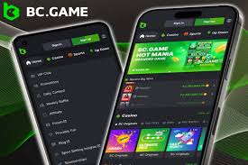 Exploring the Excitement of BC.Game Casino